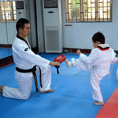 MARTIAL ARTS TRAINING